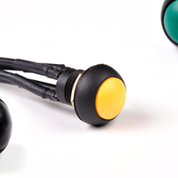 AX1127.61 Yellow Push Button Switch